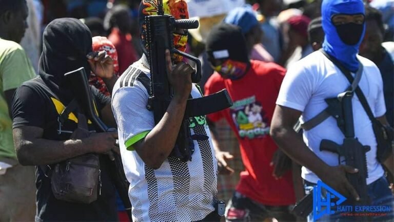 Haïti- Insécurité: TRAFIC D’ORGANES ET LE JUTEUX COMMERCE DU KIDNAPPING, PLUS DE 20 000 $ PAR SEMAINE, POUR LES GANGS EN HAÏTI